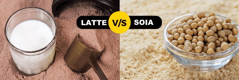 confronto proteine del latte e proteine della soia