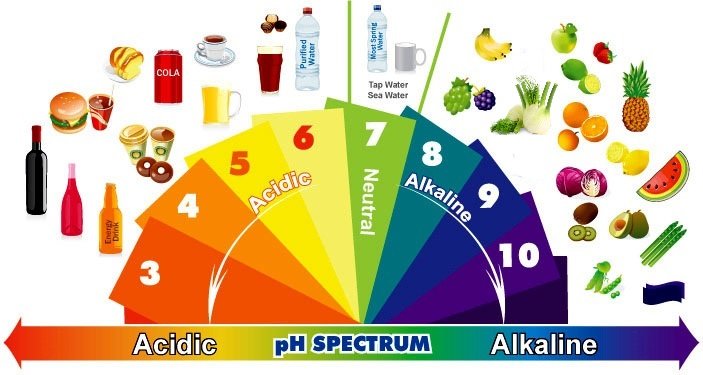 Infiammazione e alimentazione: equilibrio acido-base, PRAL, AGEs ...